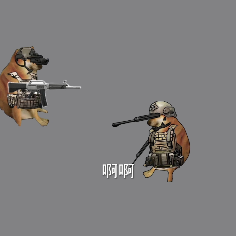 暗区突围FT辅助